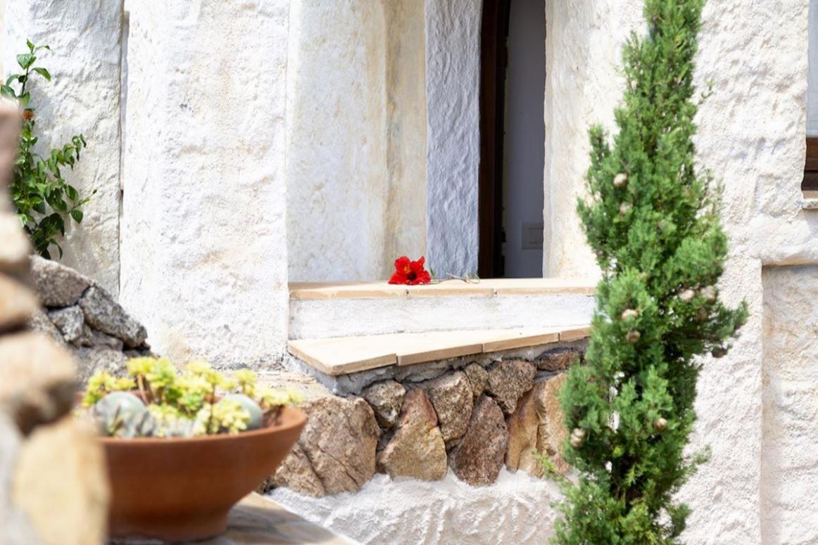 Villa Punta Saline Cannigione Ngoại thất bức ảnh